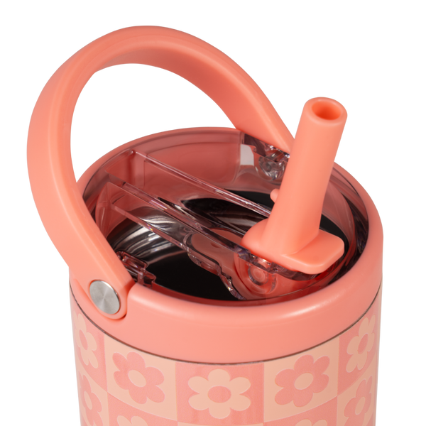Daisy Checkers 6HSY