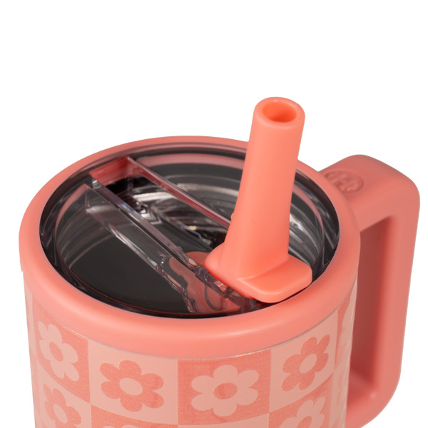 Daisy Checkers BI8V